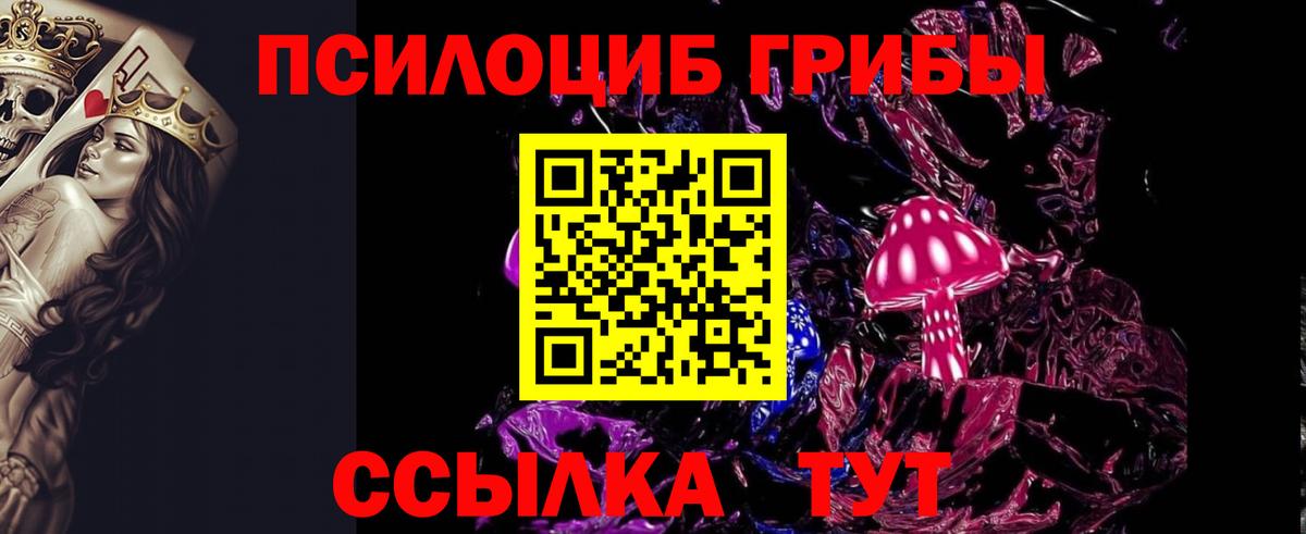 Псилоцибиновые грибы мухоморы Тара